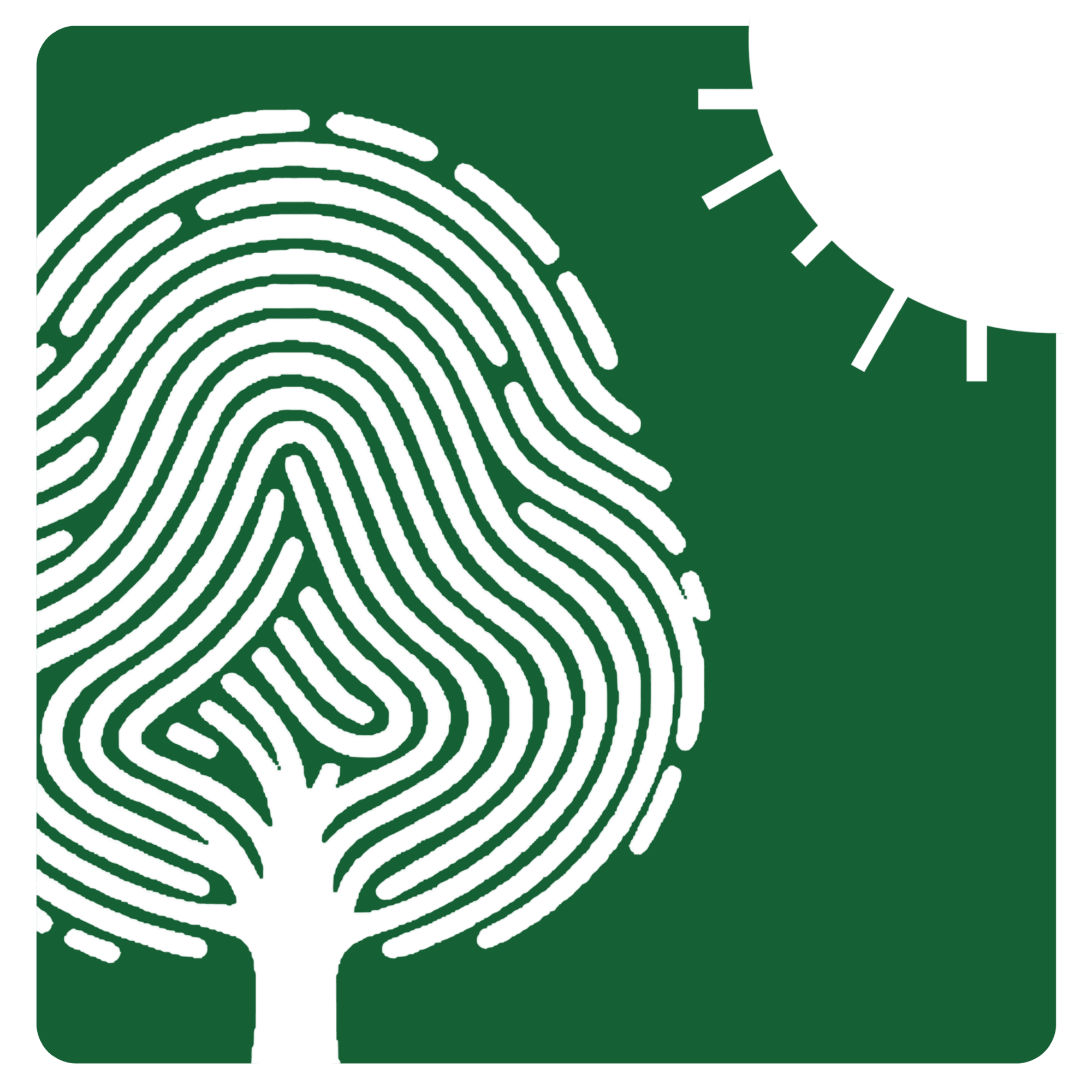 Green Amin Bazar Logo